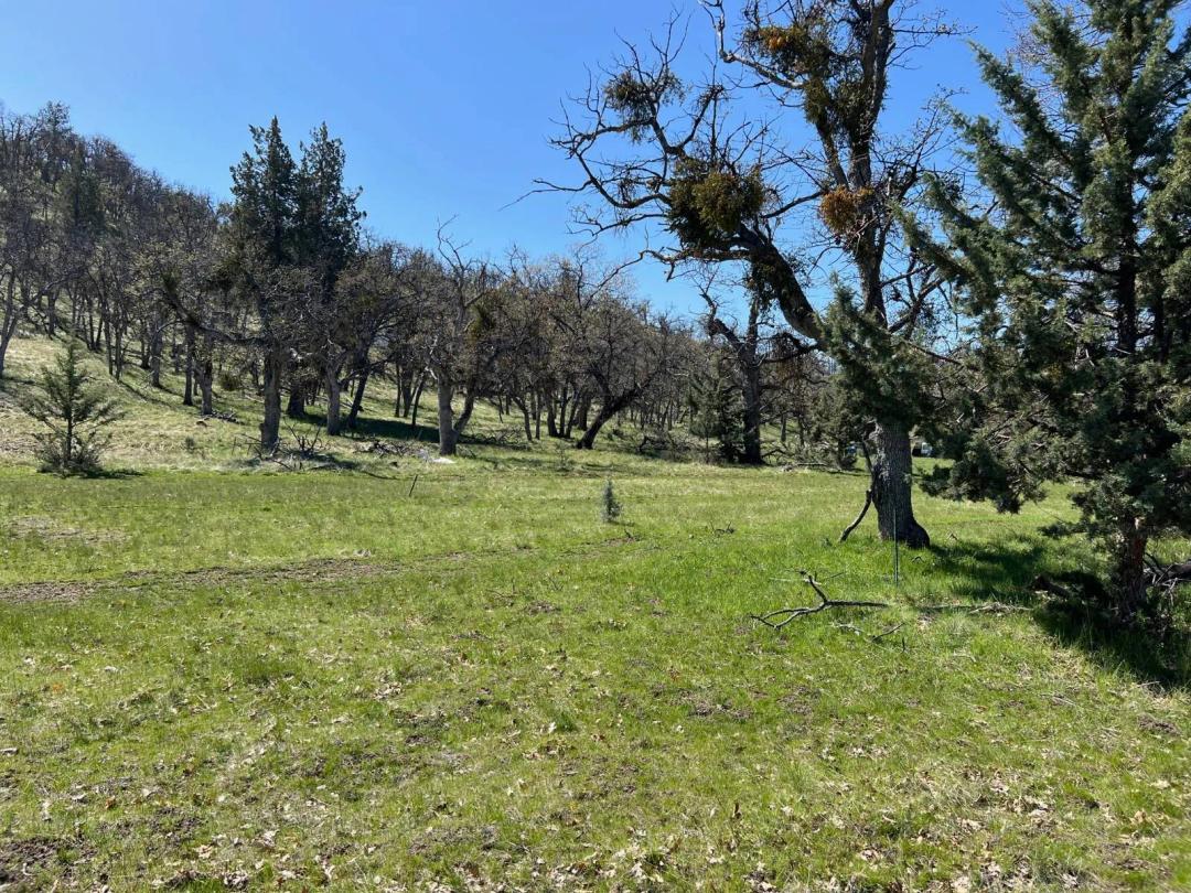 0.55 Acres at Lot 55 Patricia Av