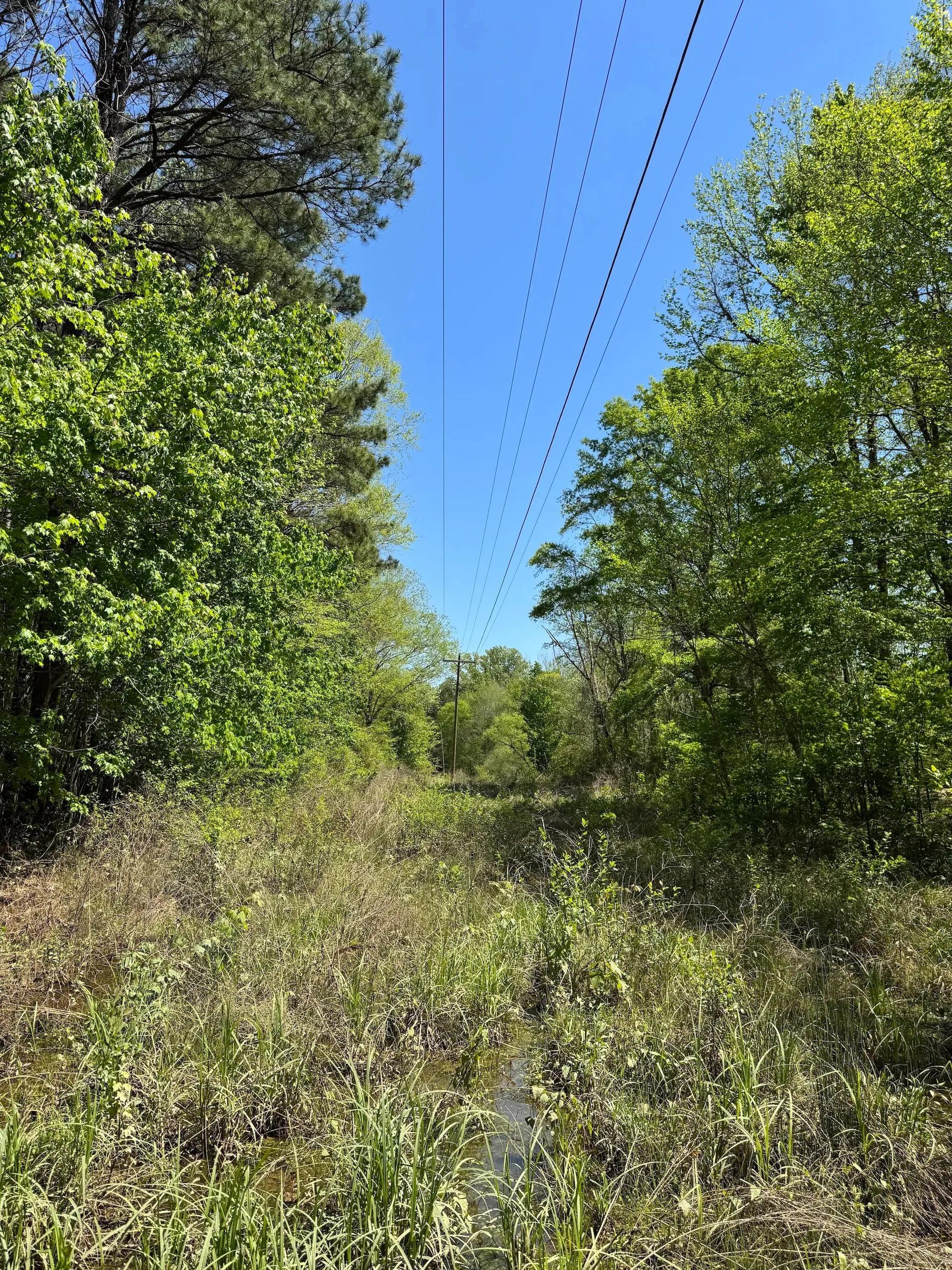 93968275-18