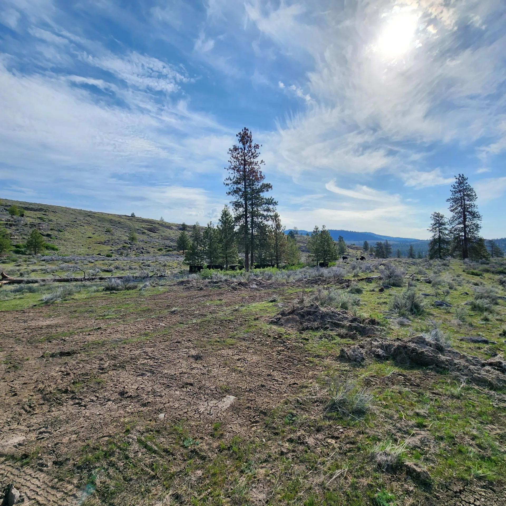 93970639-1