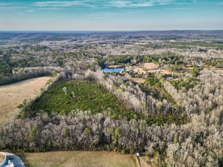 Fort Creek Hunting Property with Building Potential