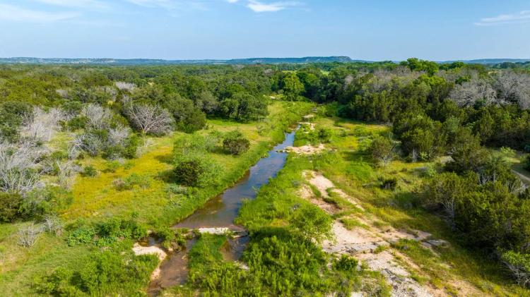 2195 Langes Mill Road - 90 Acres