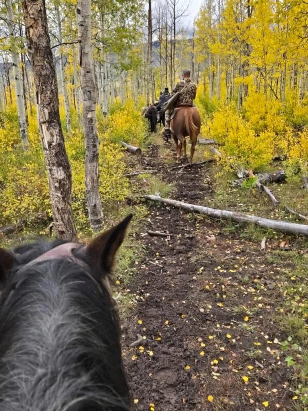 Outfitting Business for sale Western CO (No deeded property)