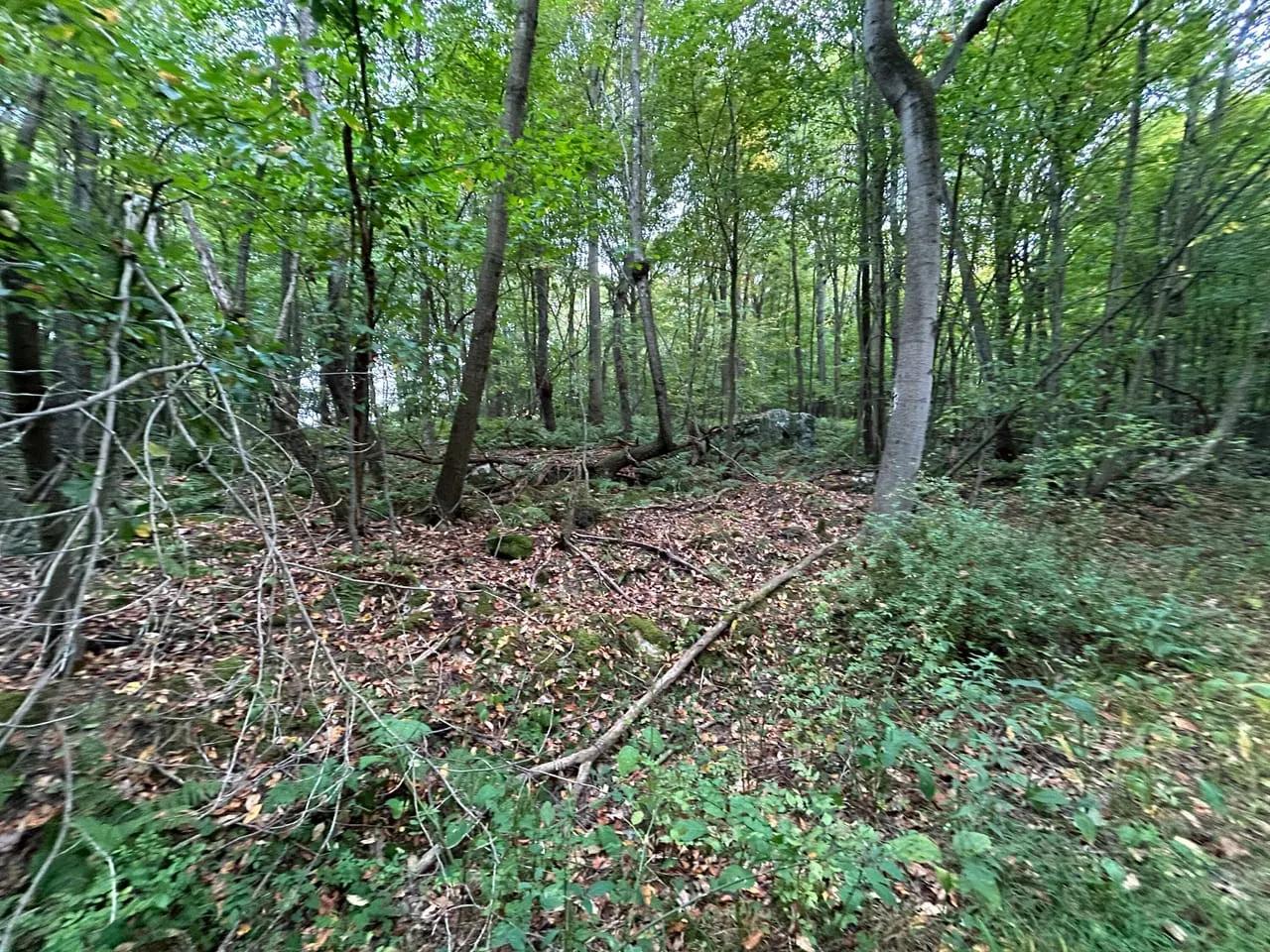 94008354-30