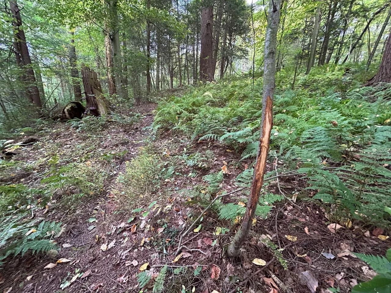 94008354-43