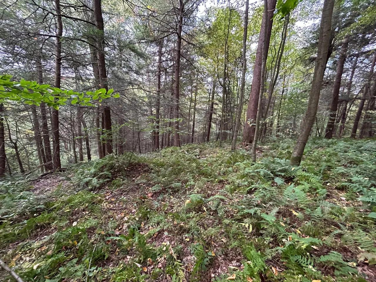 94008354-49