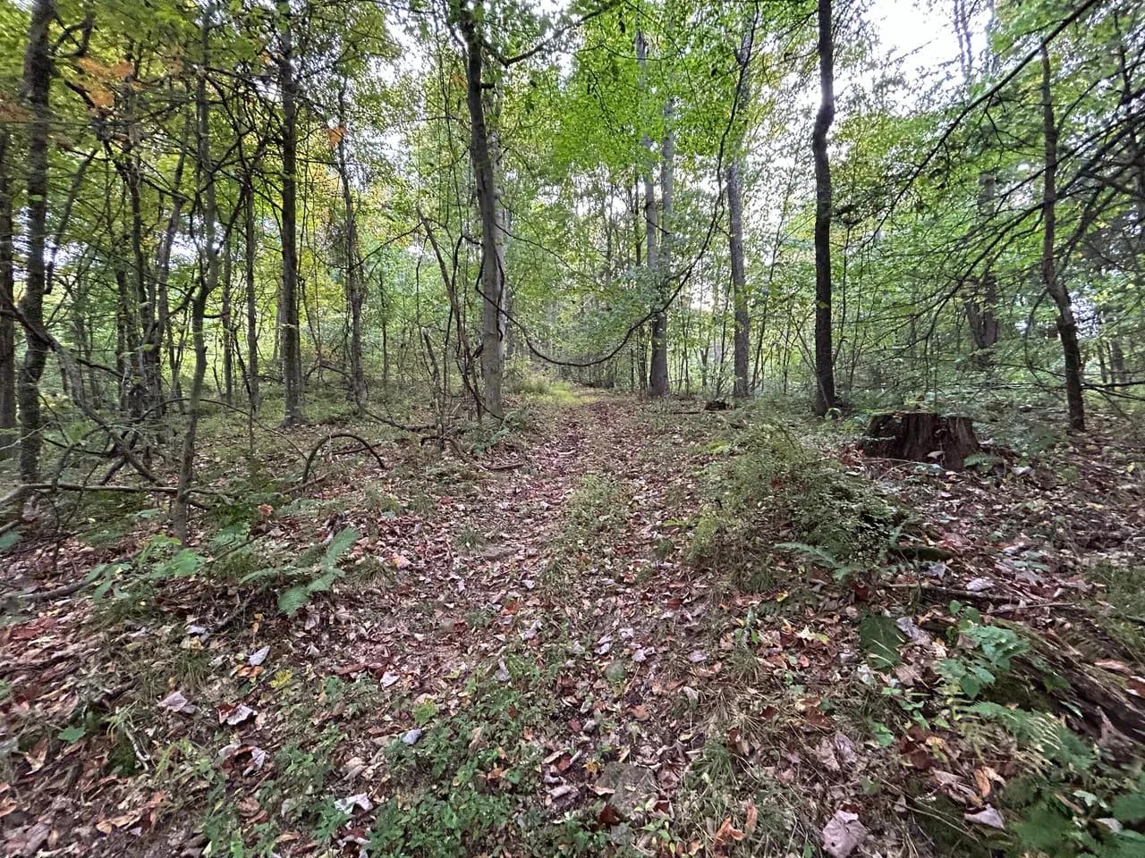 94008354-7