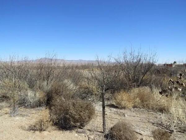 70.00 Acres at 0 Hwy 70, Tract 1