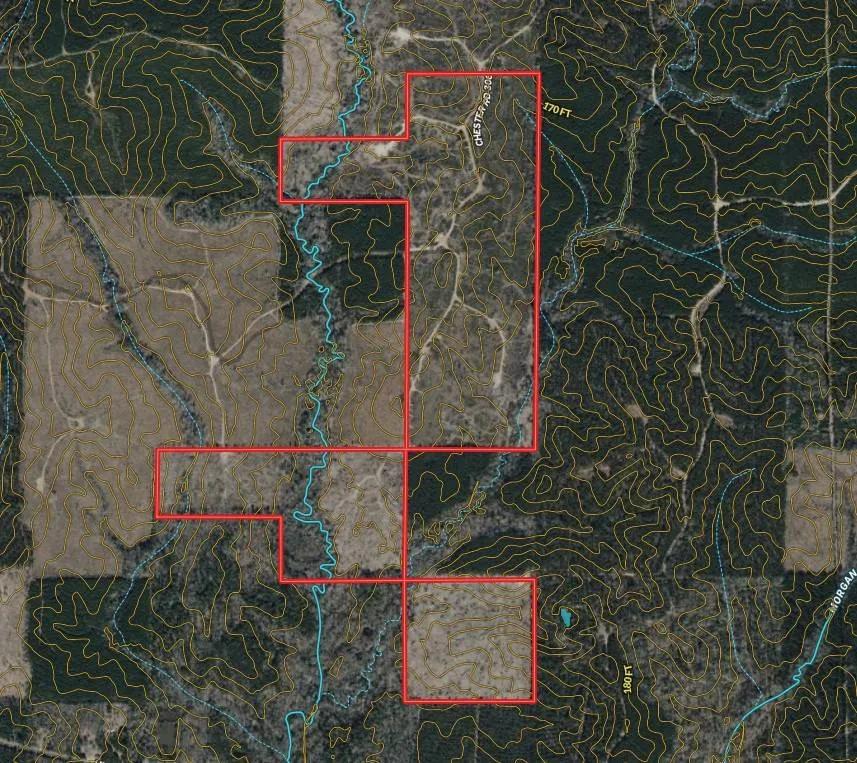 Timberland / Hunting tract