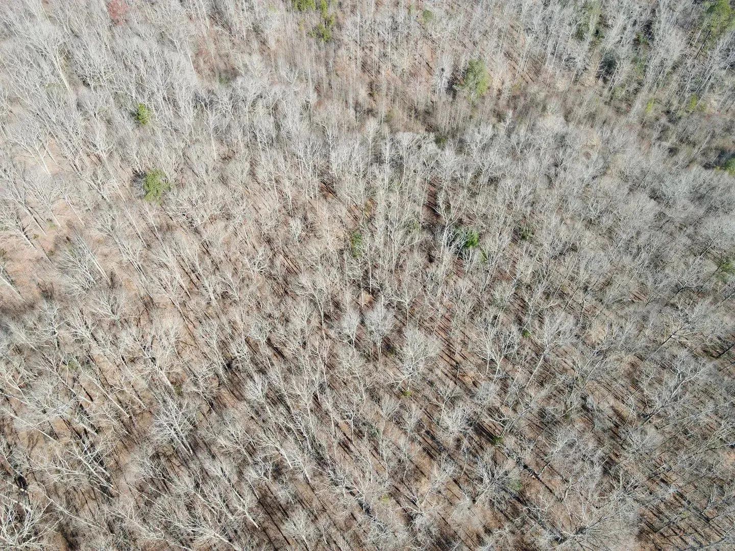 94019559-16