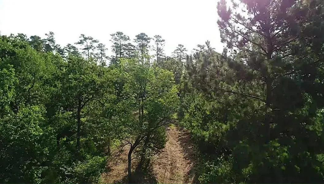94024778-2