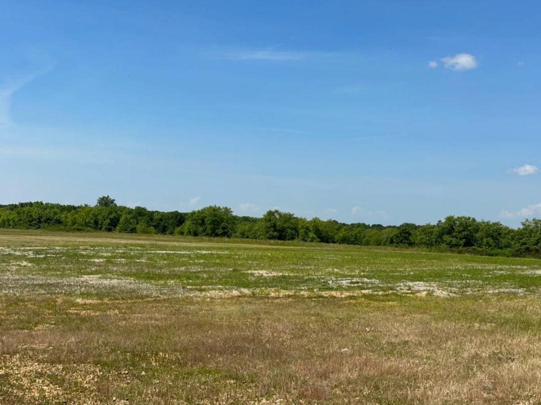 3.88 Acres at 1651 Market Drive