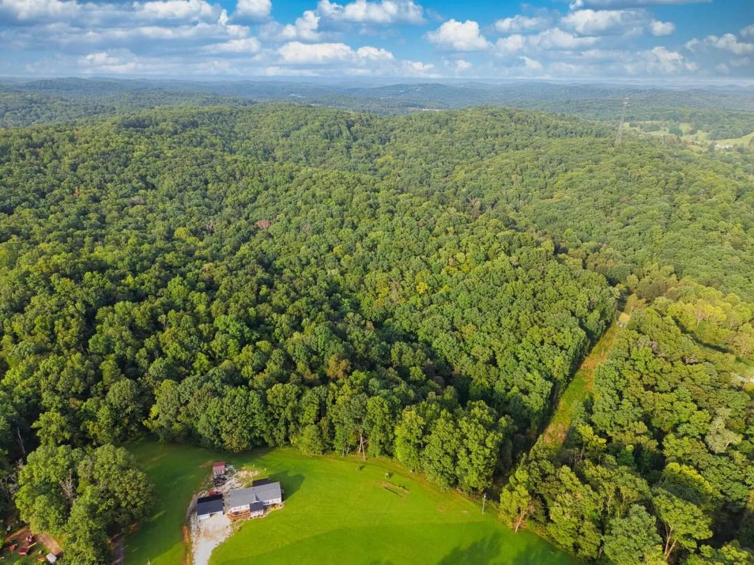 45.22 +/- ACRES | RT 50 OVER 2 (YEAGER RUN)