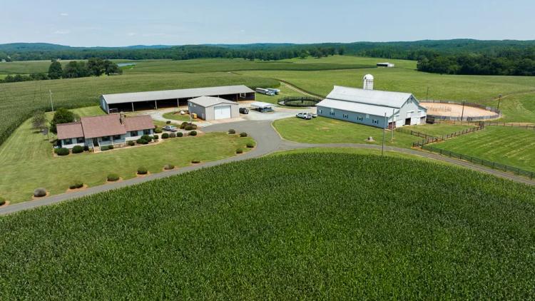 Durham County Horse and Cattle Farm