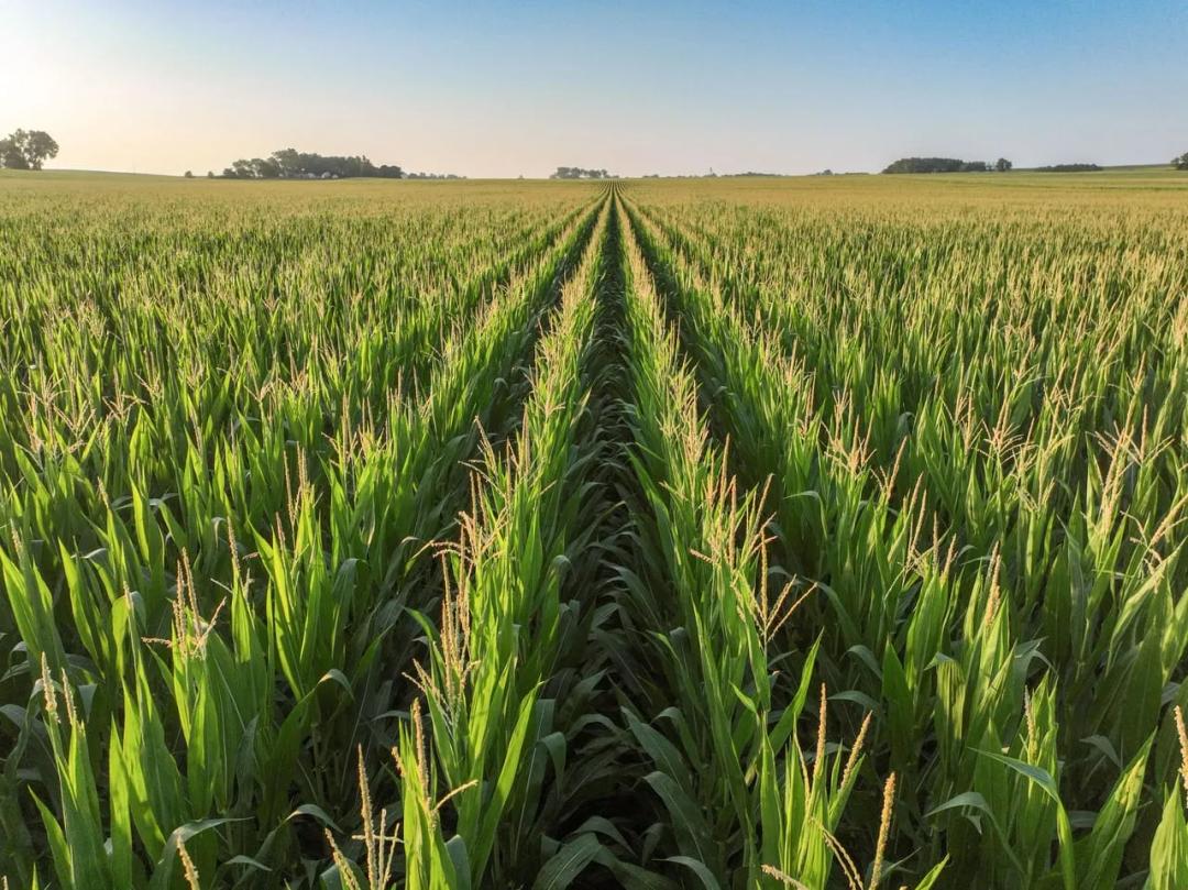 Listing #19216 - 79.00 acres in Thurston County, NE