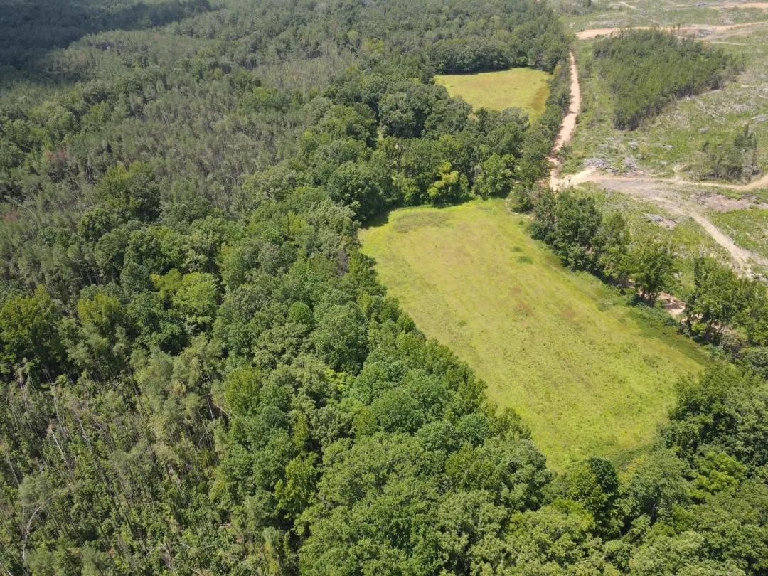 78 Acres in Lafayette County, MS 