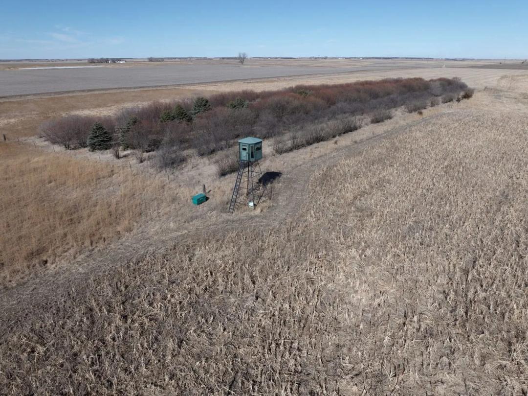 McCook County, SD 229 Acres