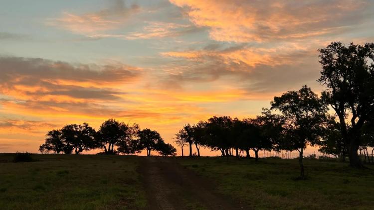 Sunrise Ridge Estates - Lot 1 Phase 1 - Lampasas, Texas 