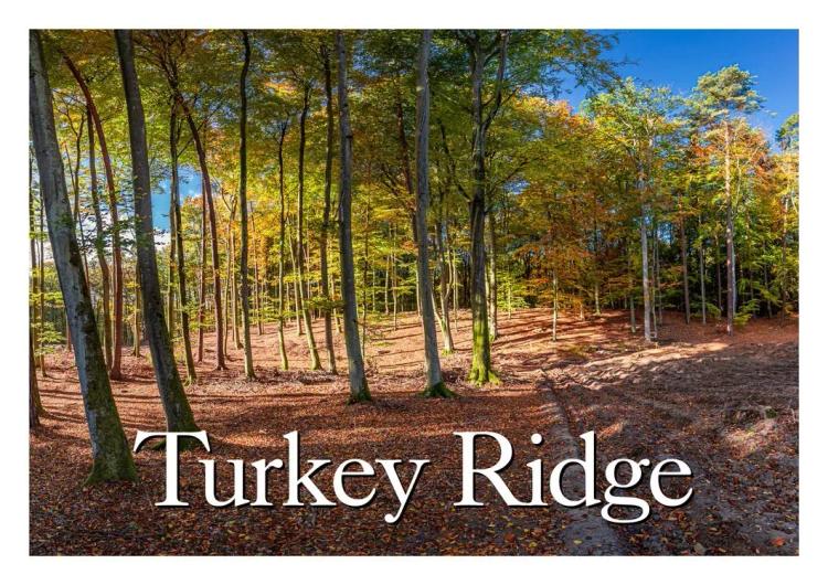 Turkey Ridge