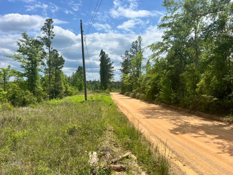 35 Acres in the Heart of the DeSoto National Forest in Wayne County, MS