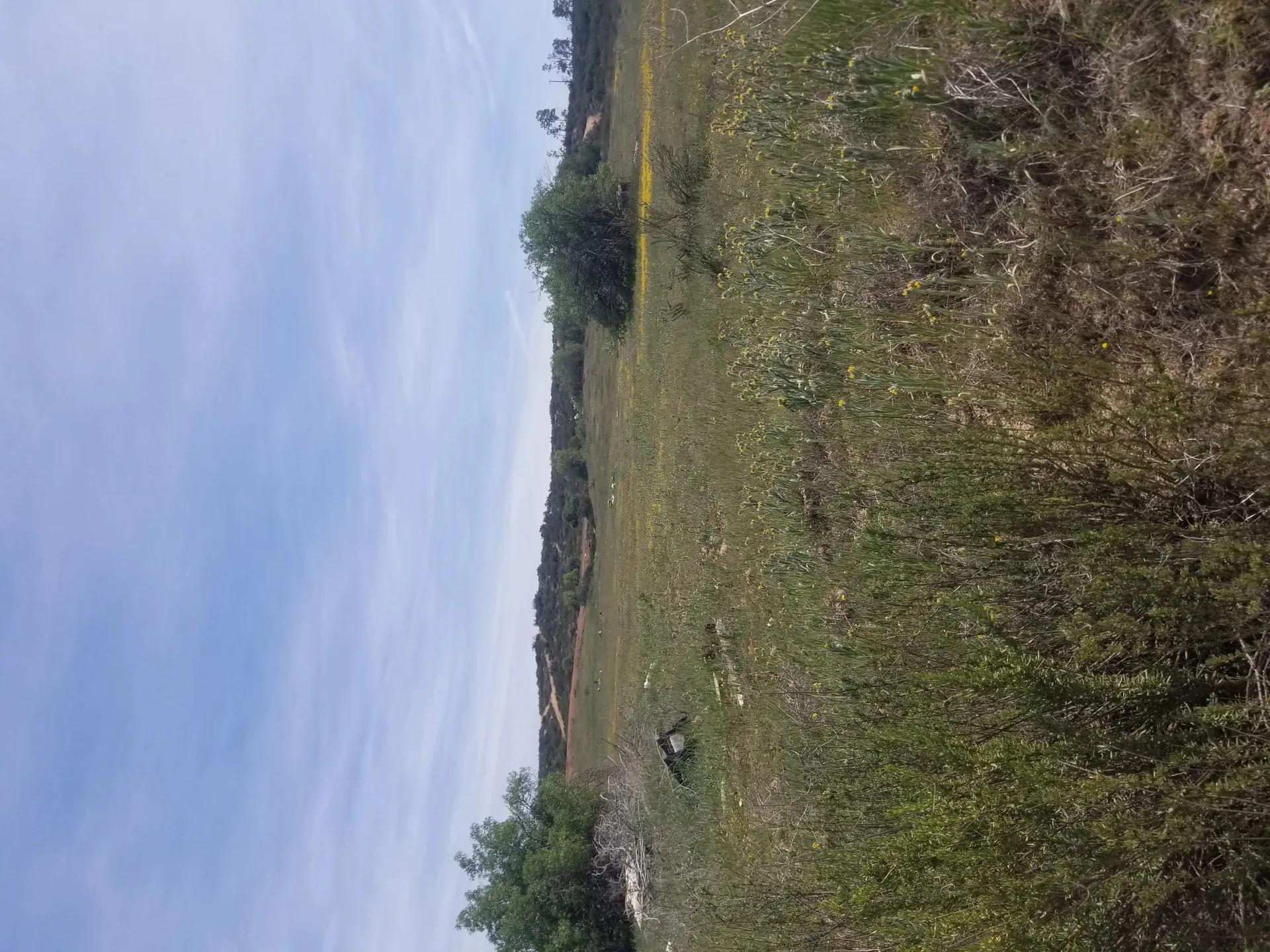 94095120-6
