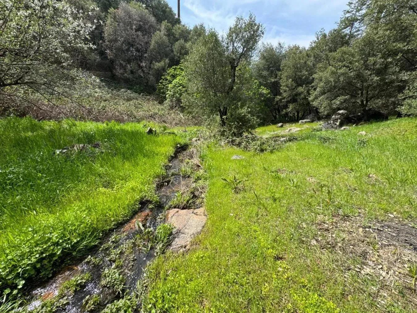 94137287-24
