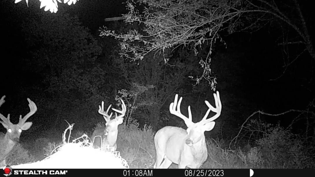 80th Rd. Yates Center, KS