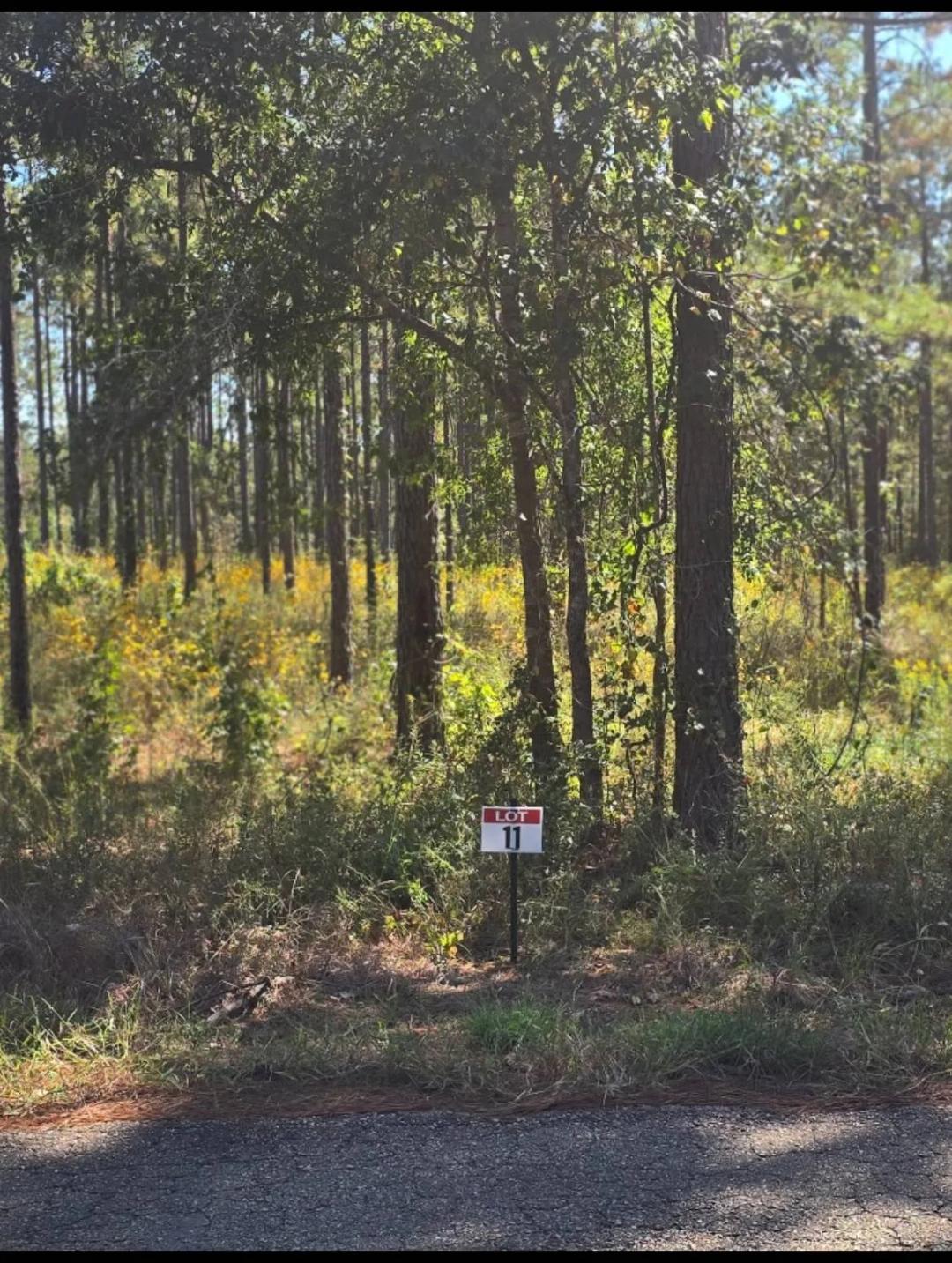 0.50 Acres at 011 Army Recreation Rd