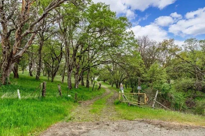 Hidden Valley Ranch!#220164207