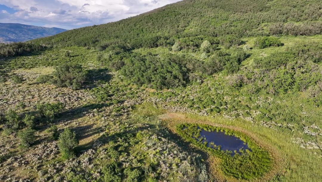 Ragged Spur Ranch