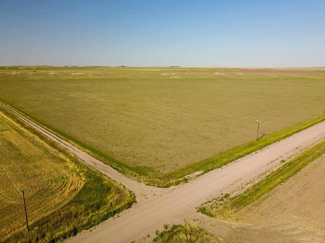 Banner County Grass