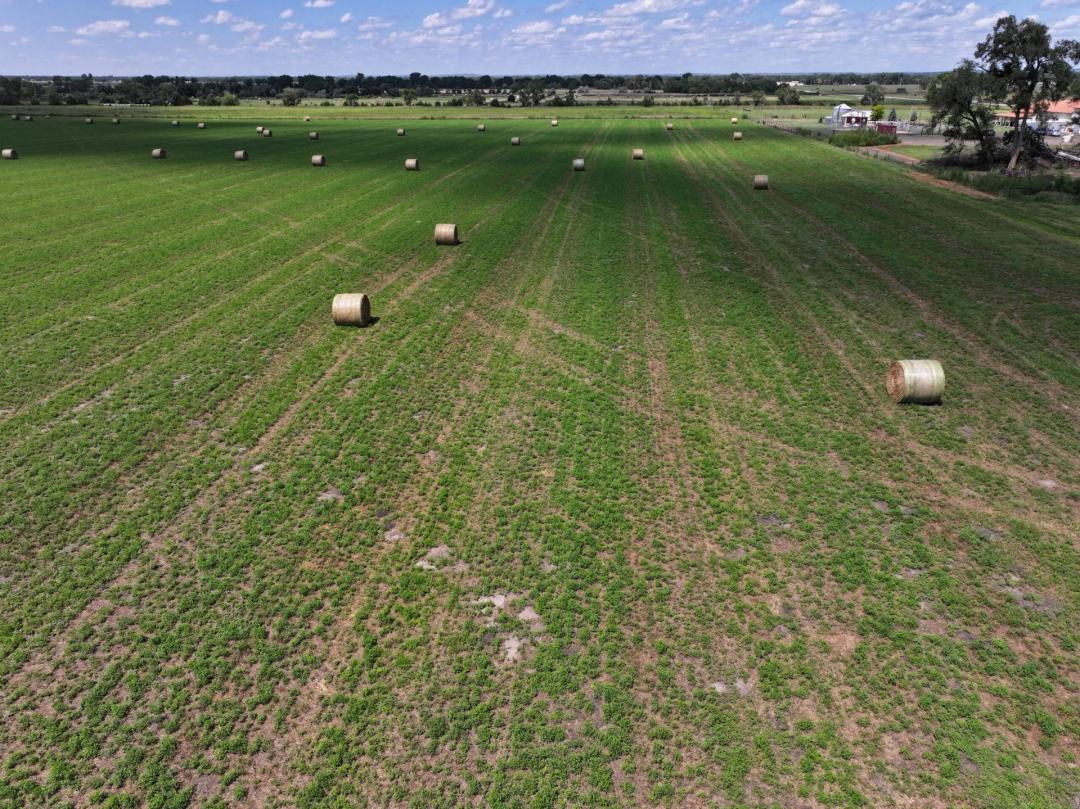 State Farm Road Long Acreage East