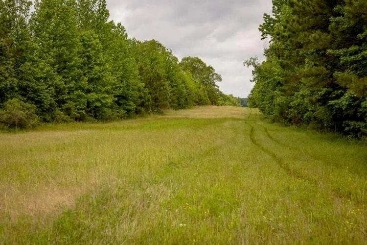 Deer, Duck, and Turkey Hunting in Claiborne County, MS
