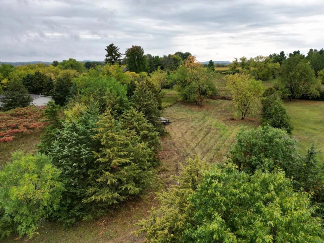 Beautiful Lot in Markesan Wisconsin