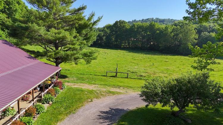 Mohican area rustic living!