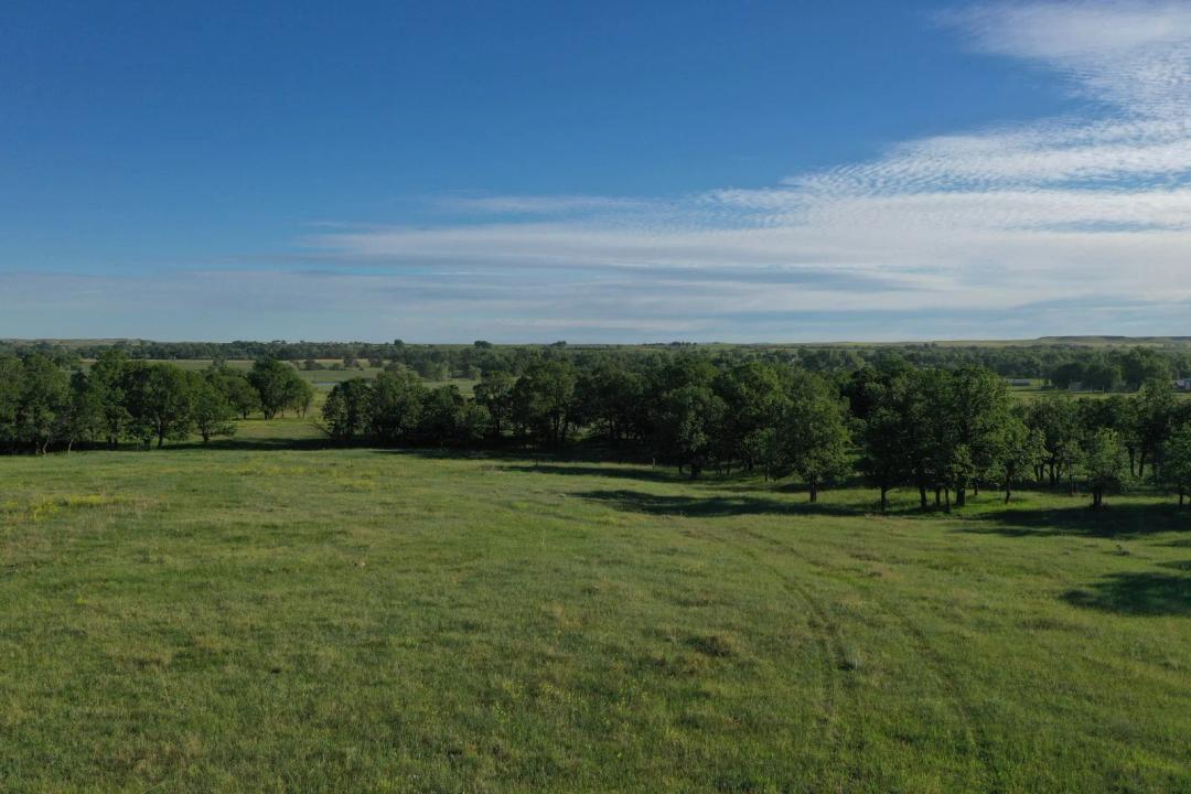 Schmele Family Trust Land Auction | Belle Fourche, SD