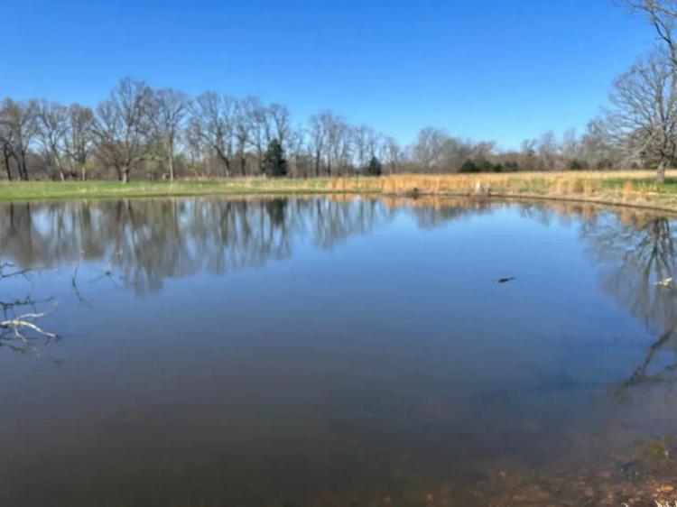 Daves Lake