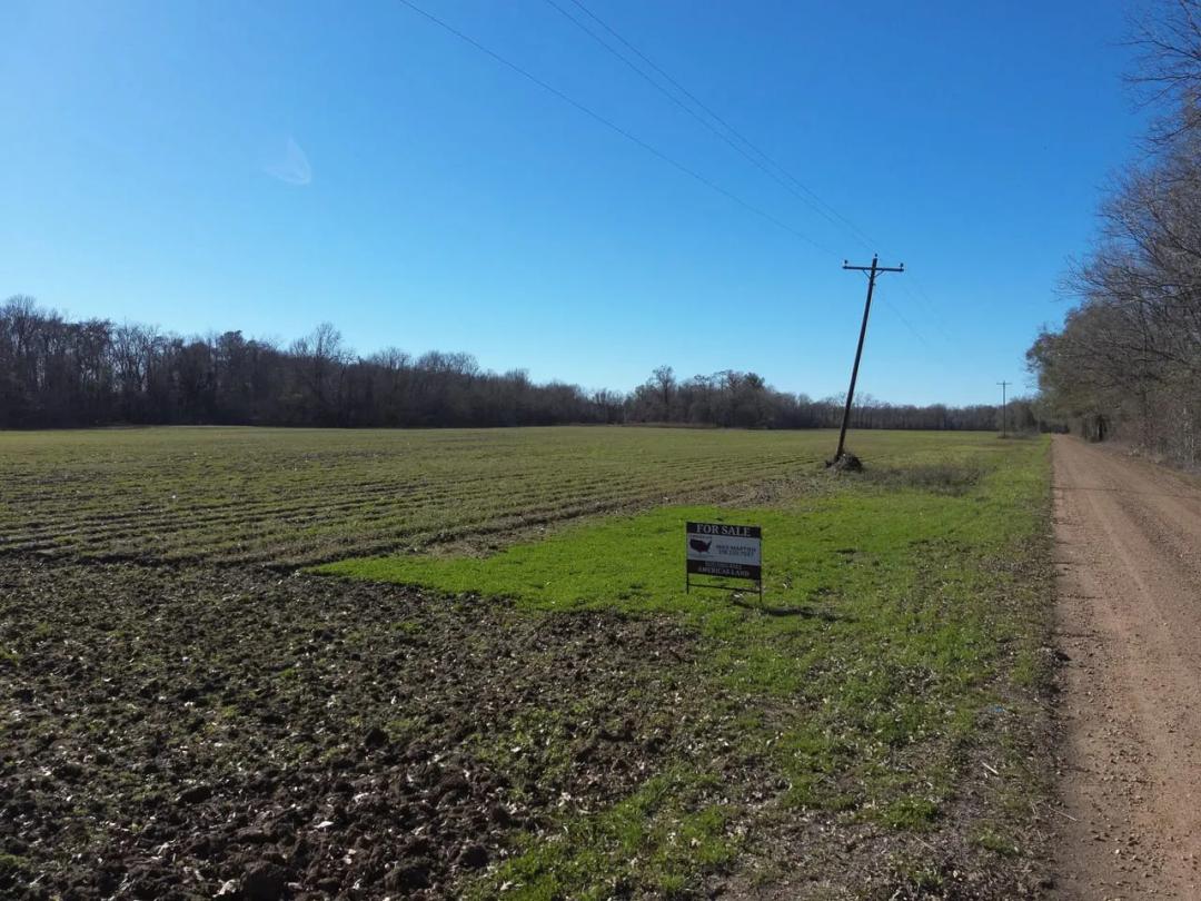 80± Acres: Farm Income, Timber &amp; Hunting