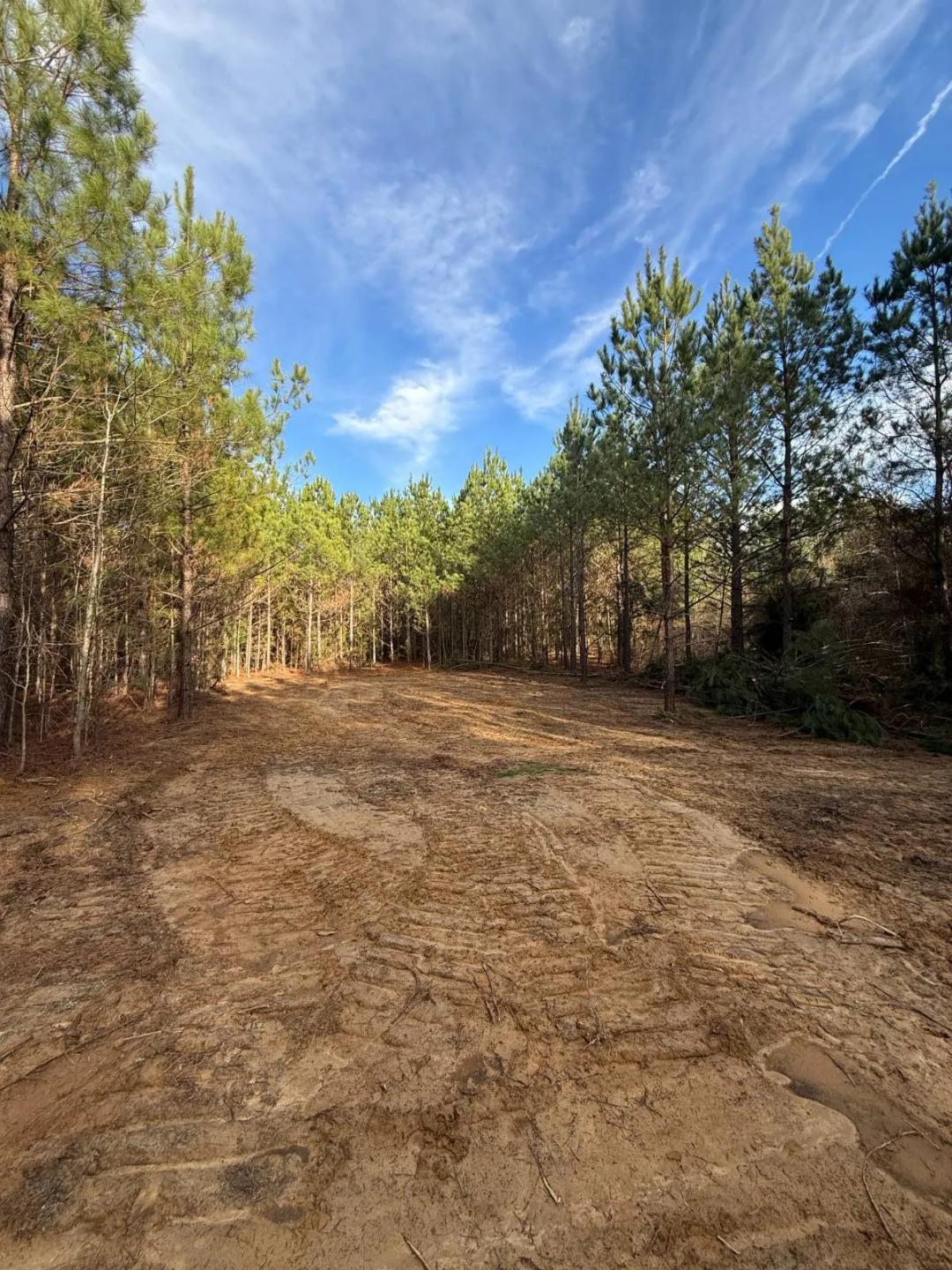 Winston County Recreational, Timber Investment and Utilities