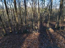 DJI_20241219145251_0055_D