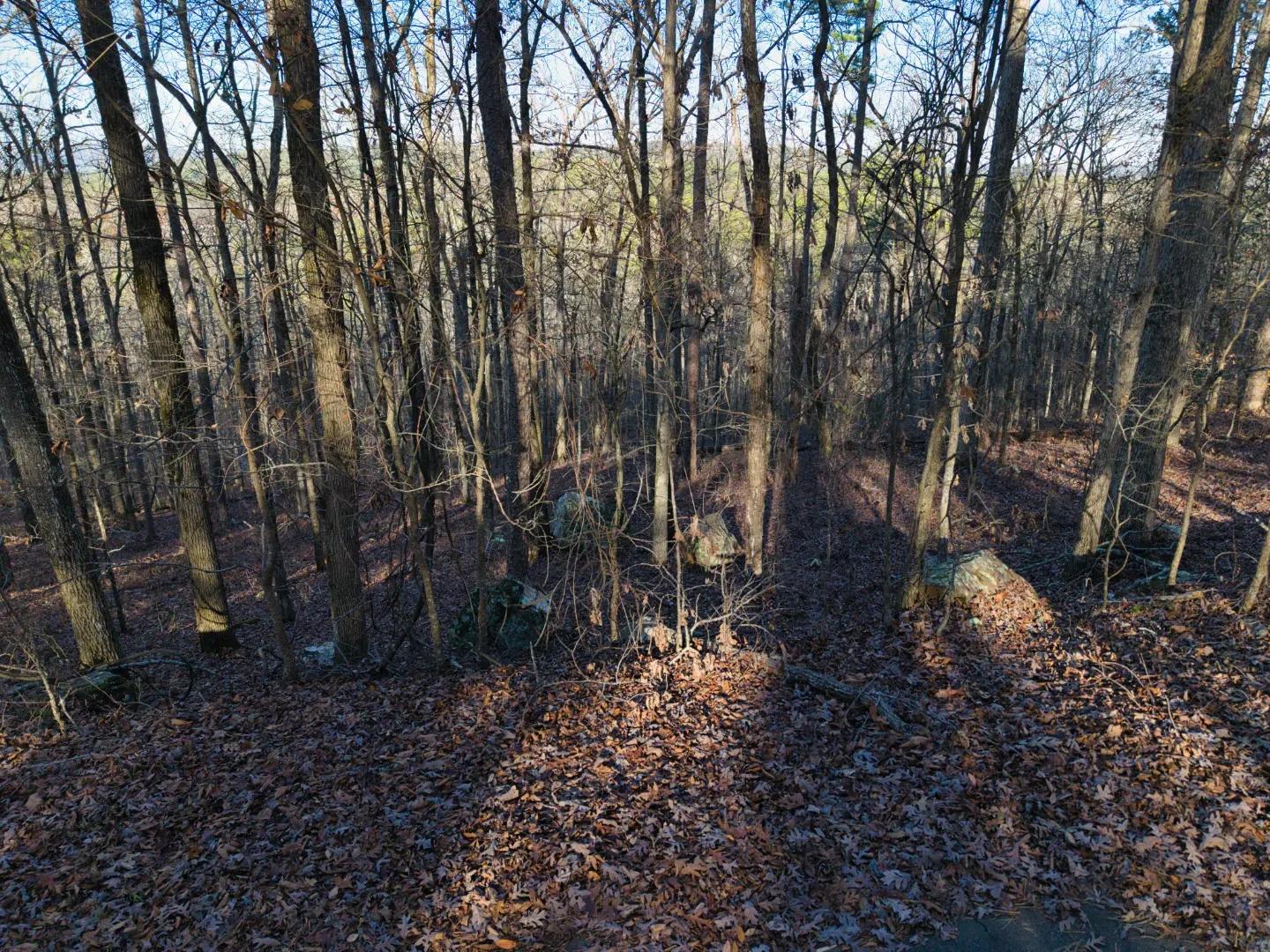DJI_20241219145251_0055_D