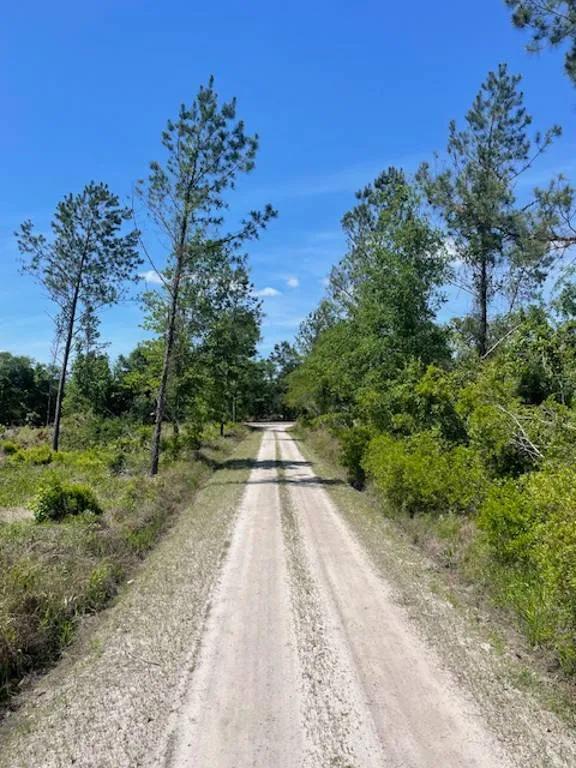 LOWCOUNTRY / HAMPTON COUNTY / LAND FOR SALE