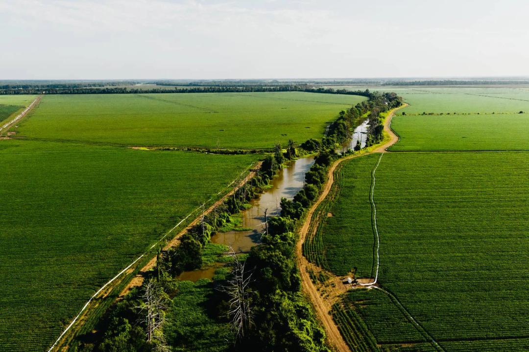 1,478± Acre Premier Row Crop Farm | Quebec, Louisiana