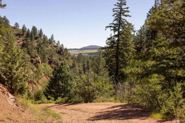 Palmer Lake Retreat