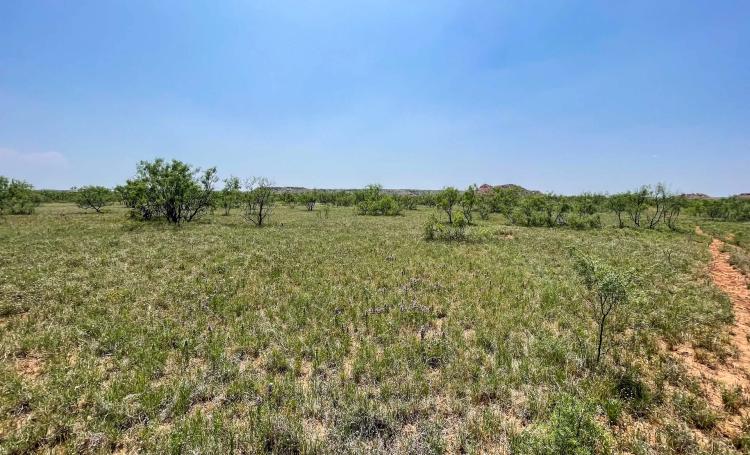 Borden County Guilliams Ranch