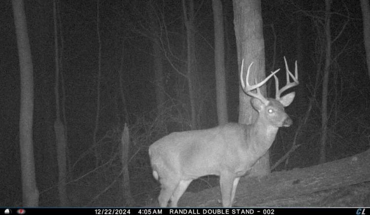 86.00 Acres at 4345 MT UNGER RD