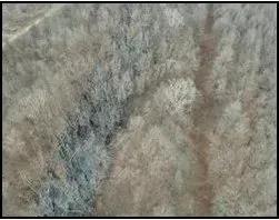 94533055-15