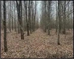 94533055-5