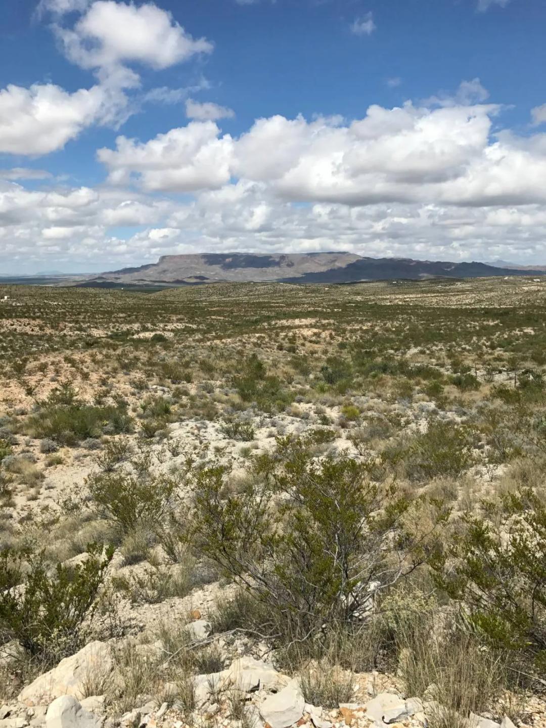 20 Acres in Cedar Springs - Tract 6732,  Off-Grid, Remote