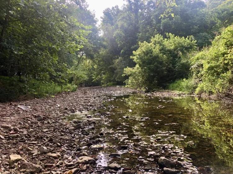 Cooper County Missouri Land & Home iAuction – Samer Living Trust