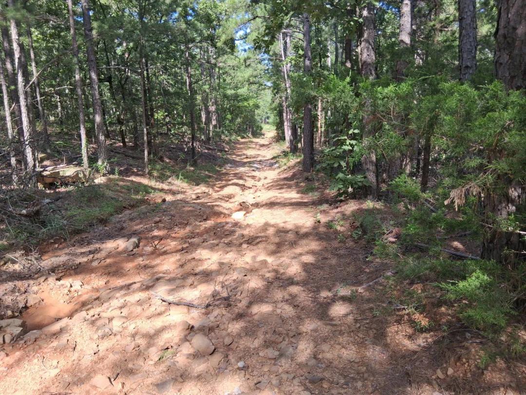 5 wooded acres for sale